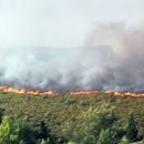 Béni Hezmar, Incendie de forêt près de Tétouan, Libération